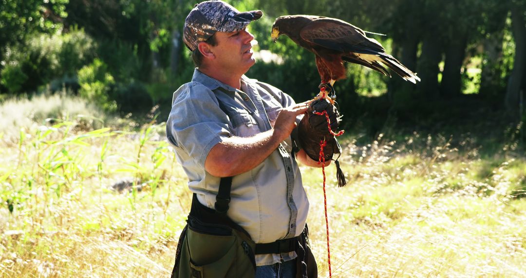 Man Practicing Falconry With Hawk Outdoors - Free Images, Stock Photos and Pictures on Pikwizard.com