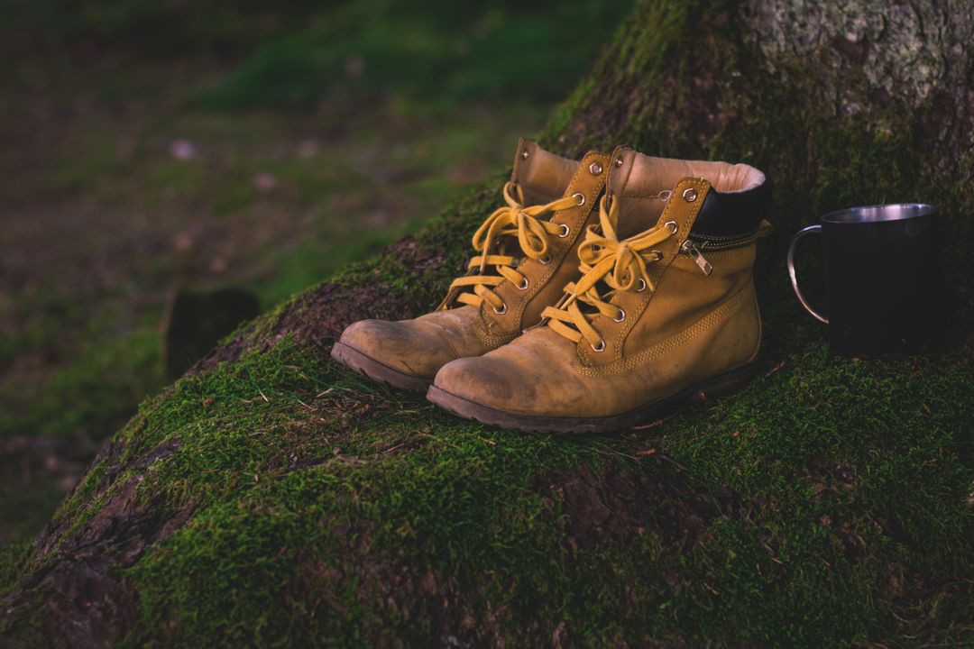 Worn Hiking Boots and Trail Mug Resting Against Tree Trunk - Free Images, Stock Photos and Pictures on Pikwizard.com