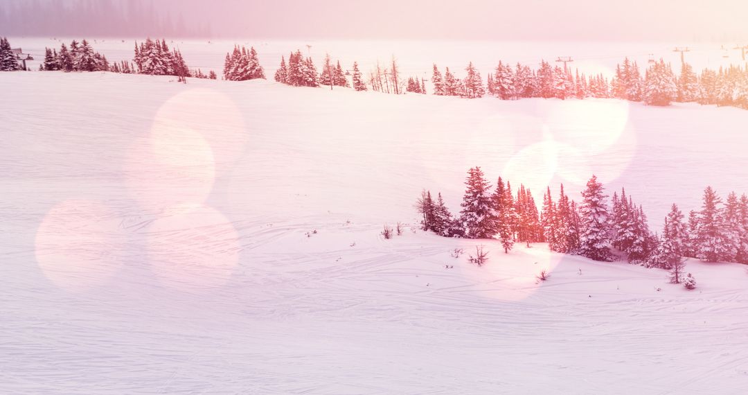 Serene Winter Mountainscape with Snow-Covered Fir Trees