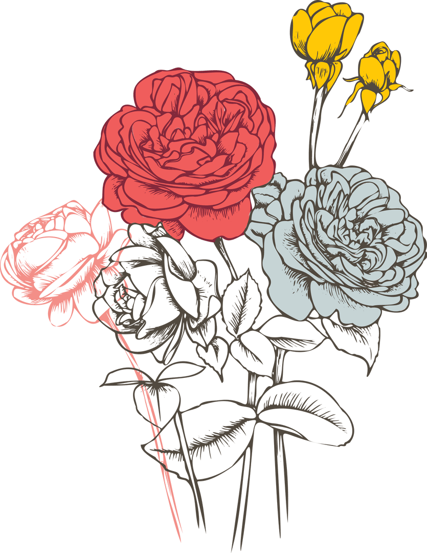 Elegant Blooming Flowers on Transparent Background