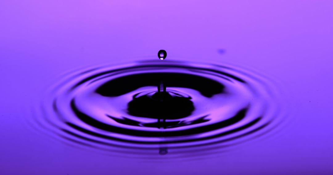 Purple Water Droplet Creating Ripples - Free Images, Stock Photos and Pictures on Pikwizard.com