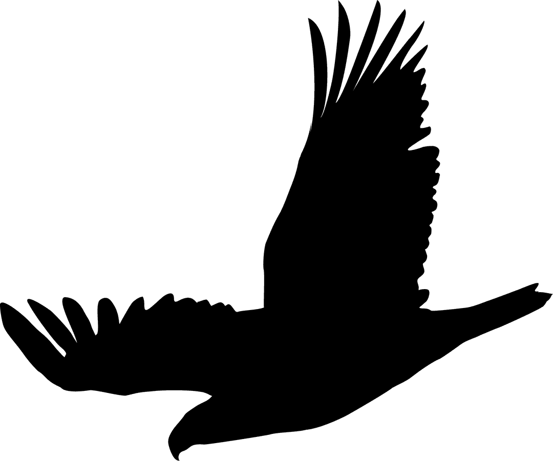 Black Bird Silhouette Gliding on Transparent Canvas, Elegance of Flight