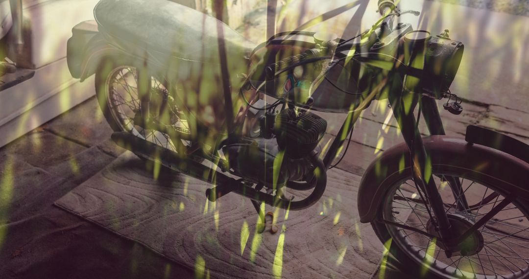 Retro Motorcycle with Overlaid Grass Creating Dual Perspective