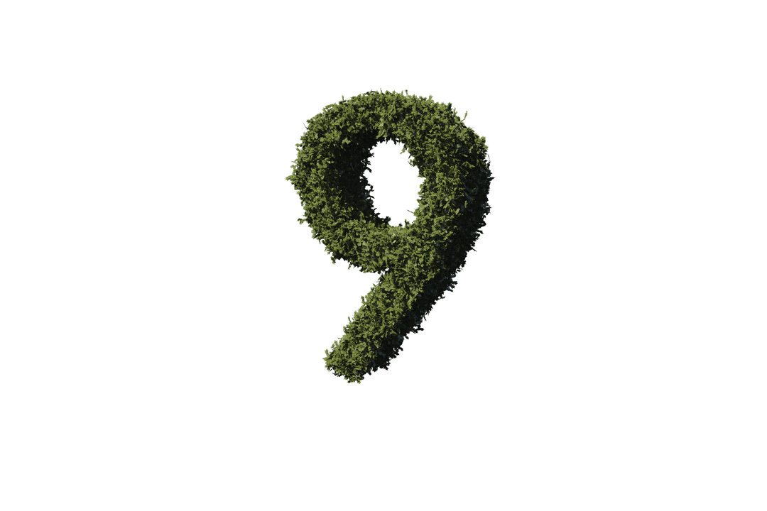 Leafy Number 9 Isolated on Transparent Background