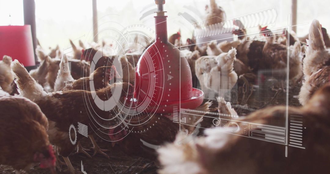 Automation in Poultry Farm with Data Overlay and Brown Hens