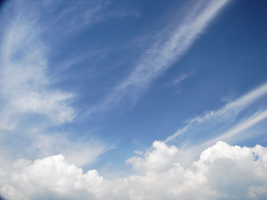 Low angle view of vapor trail in sky - Free Images, Stock Photos and Pictures on Pikwizard.com