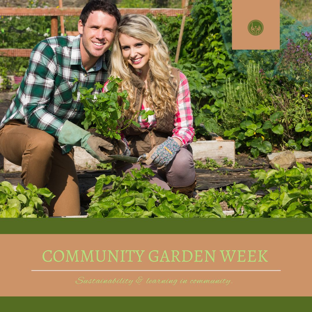 Happy Couple Gardening Together in Lush Community Garden