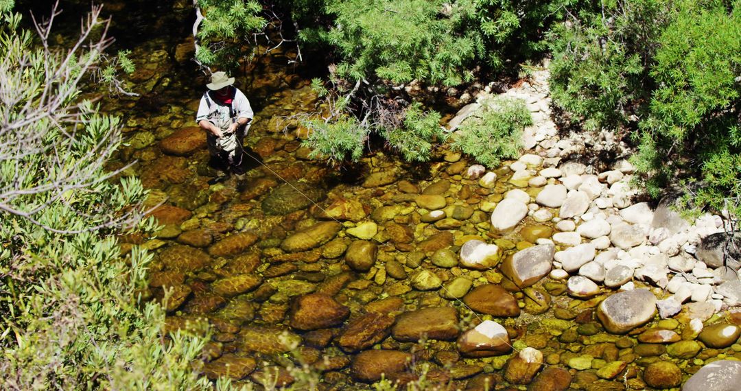 Man Fly Fishing in Clear Rocky Stream Surrounded by Greenery - Free Images, Stock Photos and Pictures on Pikwizard.com