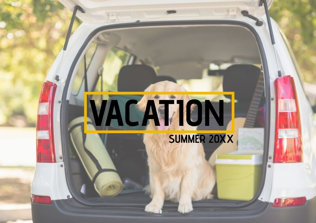 Labrador Ready for Road Trip in Car Trunk with Travel Gear