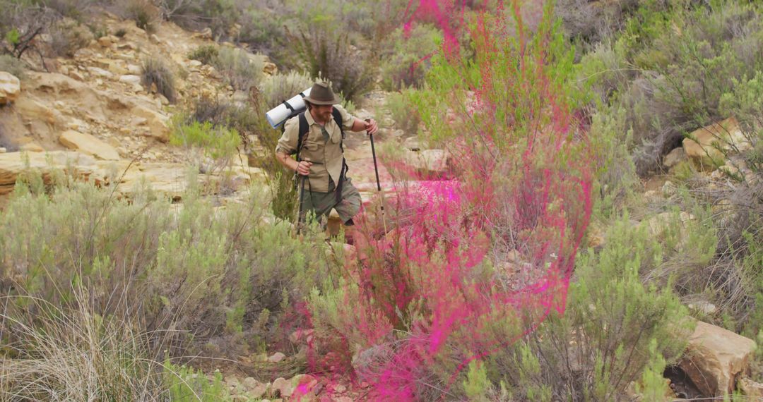 Exploration Journey With Hiker Navigating Desert Hillside