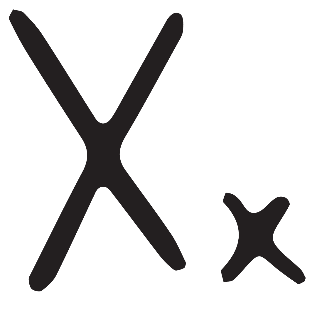 Stylish Vector Letter X Compilation on Transparent Background