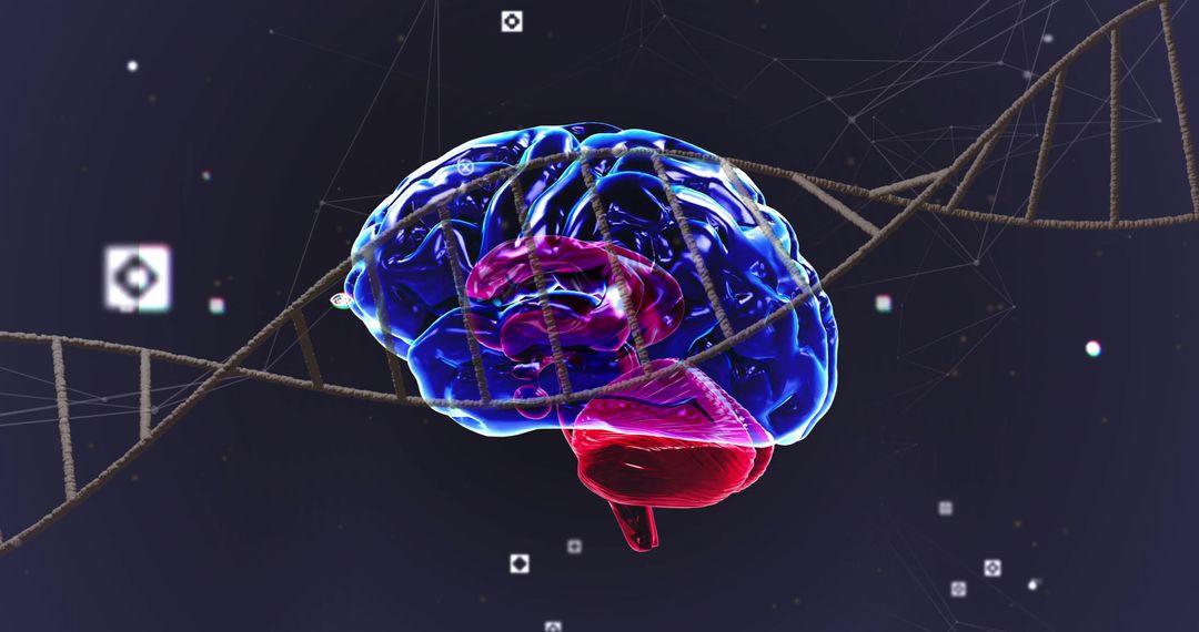 Virtual Brain with DNA Strand Representing Neurogenetics Research