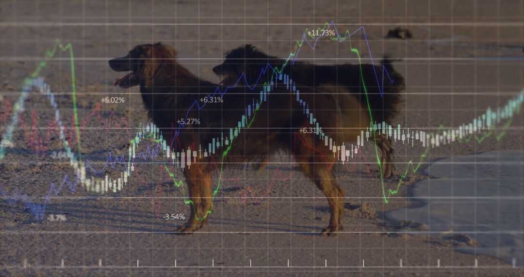 Dog Admiring Beach Overlayed with Financial Chart