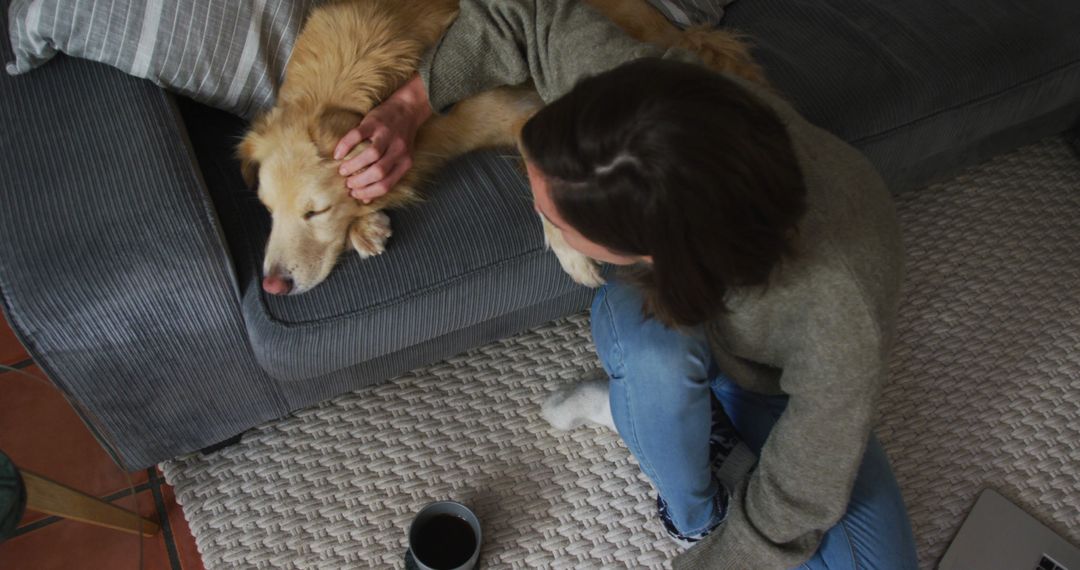 Woman Petting Sleeping Dog on Couch with Coffee Nearby - Free Images, Stock Photos and Pictures on Pikwizard.com