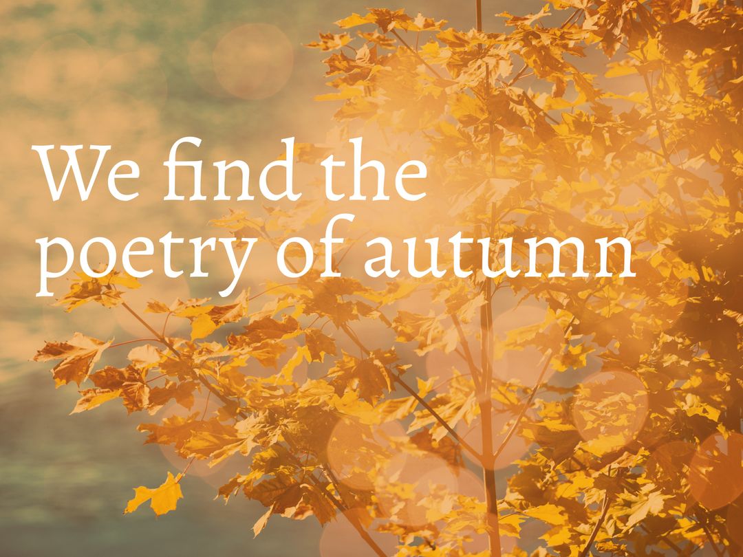 Warm Autumn Leaves with Inspirational Quote in Nature Background - Download Free Stock Templates Pikwizard.com