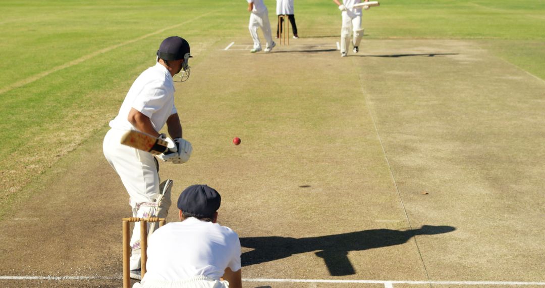 Cricket Players Competing on Sunny Day - Free Images, Stock Photos and Pictures on Pikwizard.com