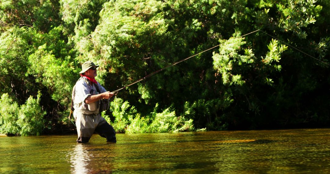 Angler Fly Fishing in Serene Forest Stream - Free Images, Stock Photos and Pictures on Pikwizard.com