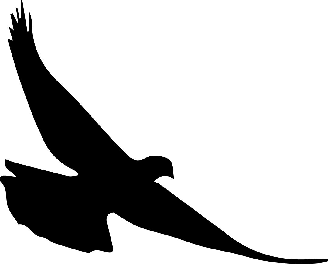 Black Bird Silhouette Soaring on Transparent Background for Elegant Minimalist Design