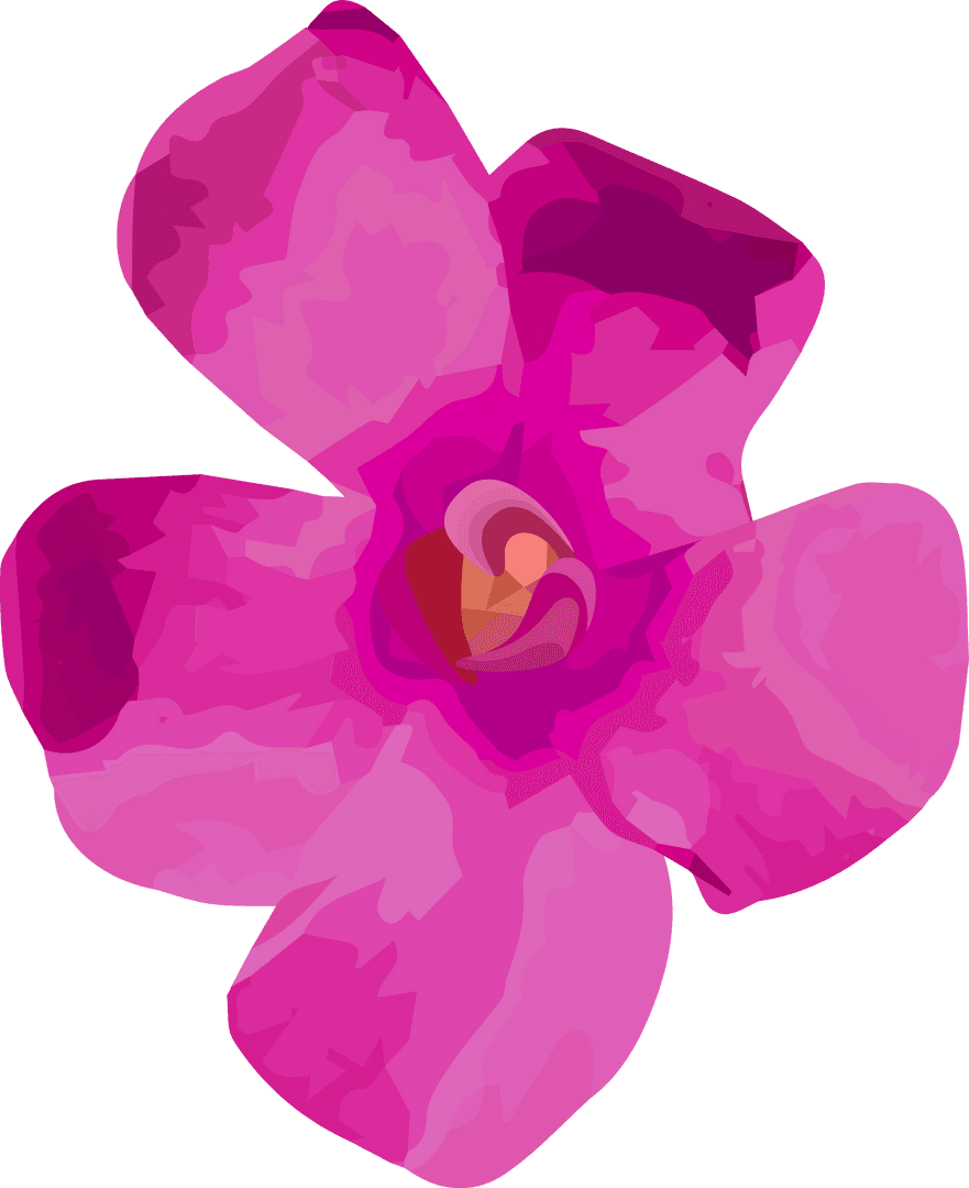 Vivid Pink Magenta Flower Five Petals Transparent Background