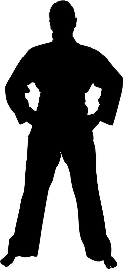 Transparent Silhouette of Female Karate Fighter on Guard