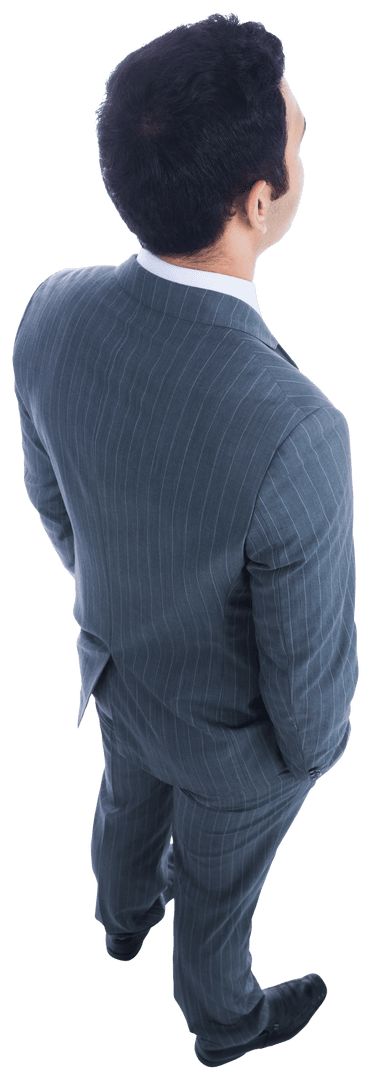 Biracial Businessman Standing on Transparent Background Isolated