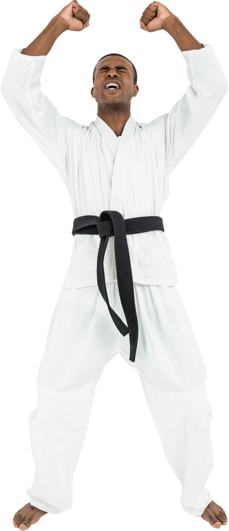 Martial Artist in Victory Pose on Transparent Background