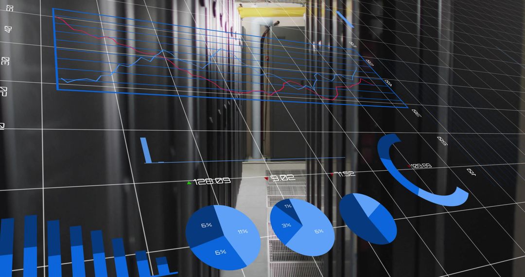 Digital Data Processing over Network Servers with Analytics Charts