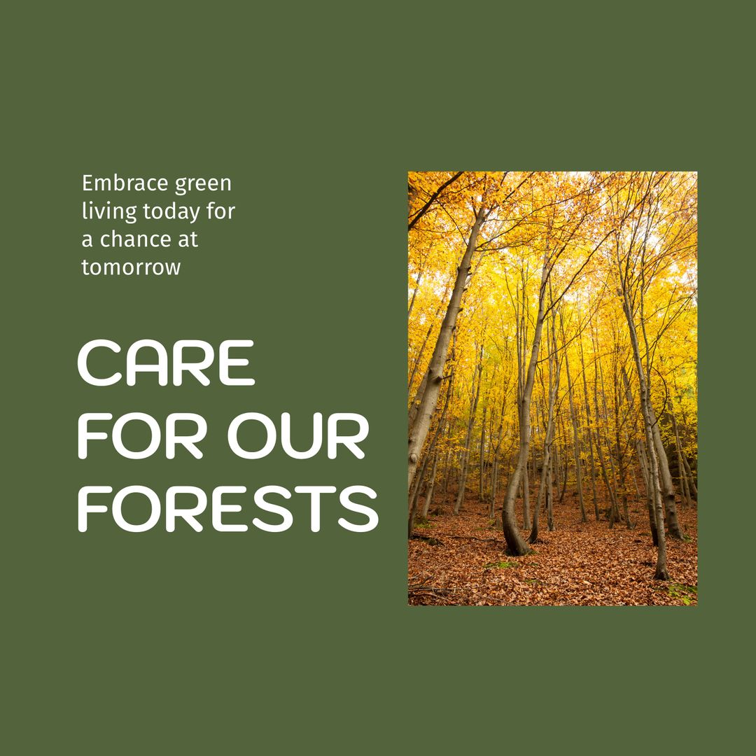 Forest Conservation Awareness Poster with Autumn Trees - Download Free Stock Templates Pikwizard.com