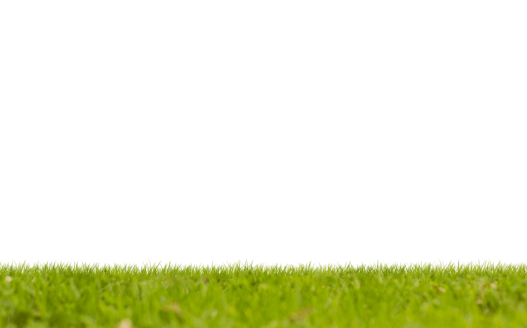 Vibrant Green Grass on Transparent Background Decoration