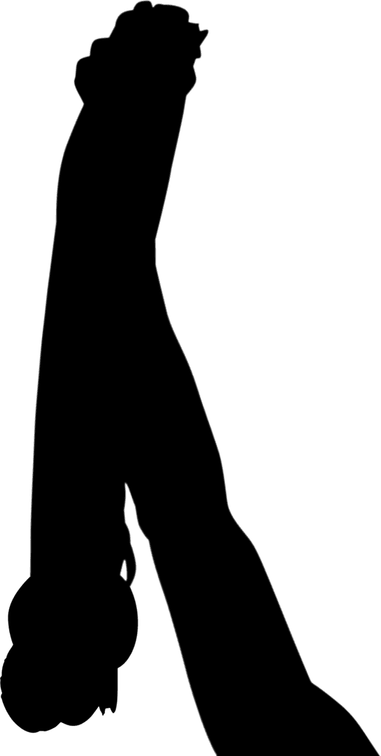 Silhouette of Hand Holding Medals Transparent Background