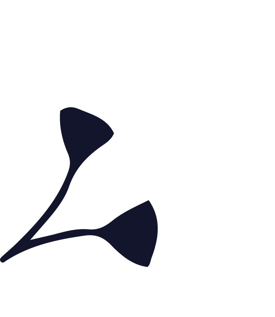 Stylized Minimalist White Flowers on Transparent Background