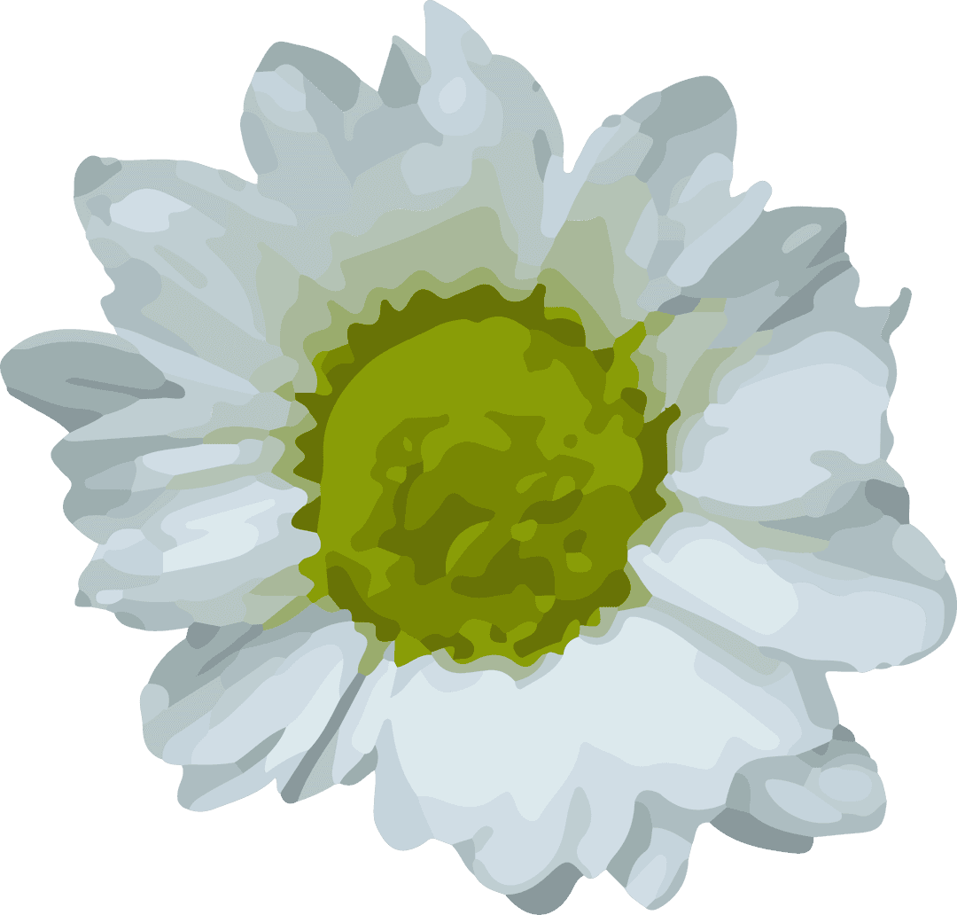 White Daisy Flower in Transparent Vector Illustration