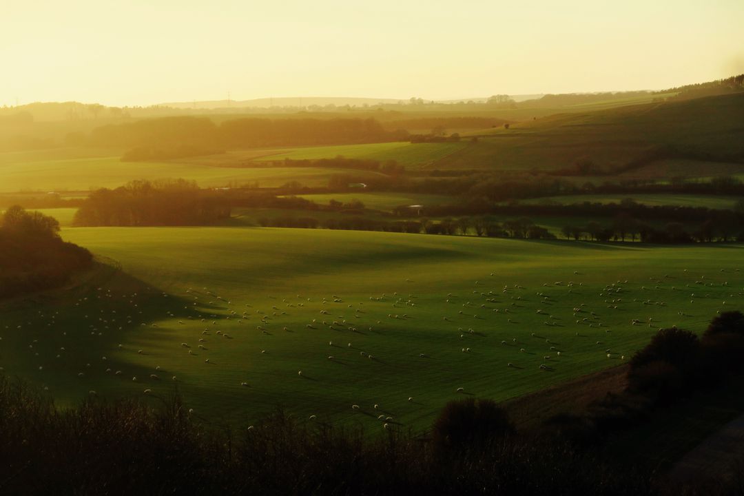 Golden Sunrise Over Lush Rolling Hills and Green Pastures - Free Images, Stock Photos and Pictures on Pikwizard.com