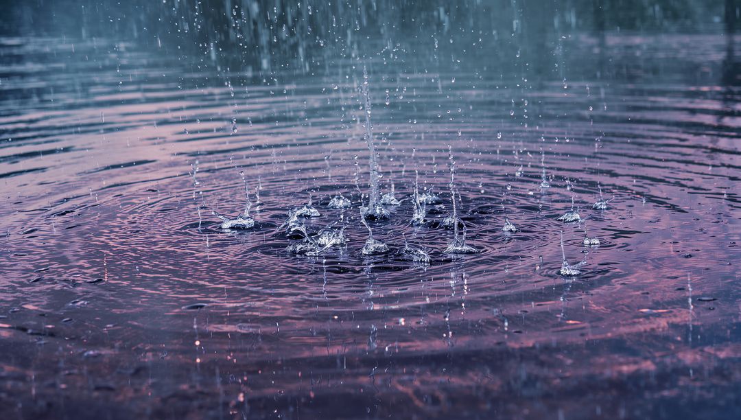 Raindrops Creating Ripples and Crown Formations on Pond Surface