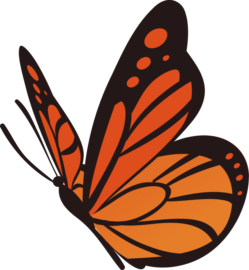Vibrant Orange Butterfly Wing Vector Illustration on Transparent Background