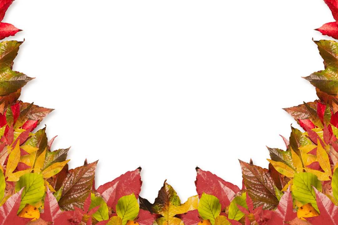Autumn Leaves Frame on Transparent Background with Vivid Colors