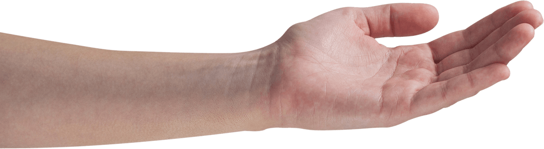 Transparent Image of Woman's Cupped Hand Outstretched Detail View