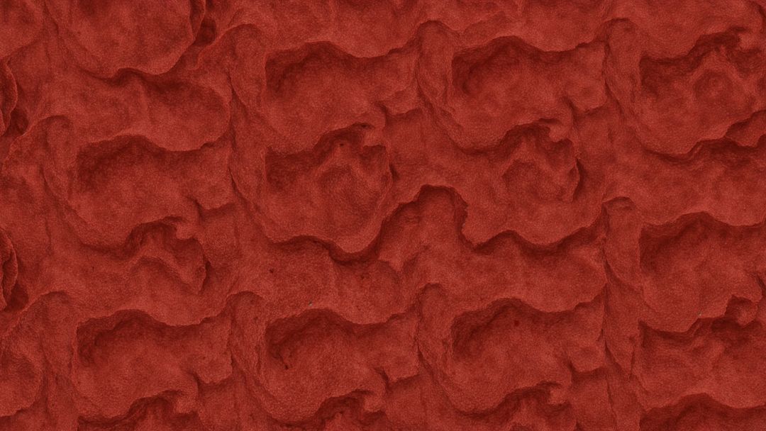 Red Sandstone Surface with Honeycomb Texture