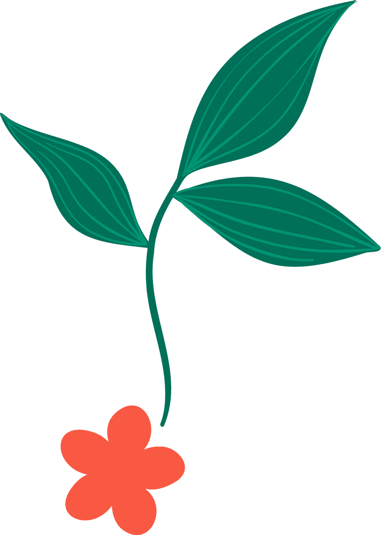 Stylized Botanical Illustration Transparent Design with Orange Flower