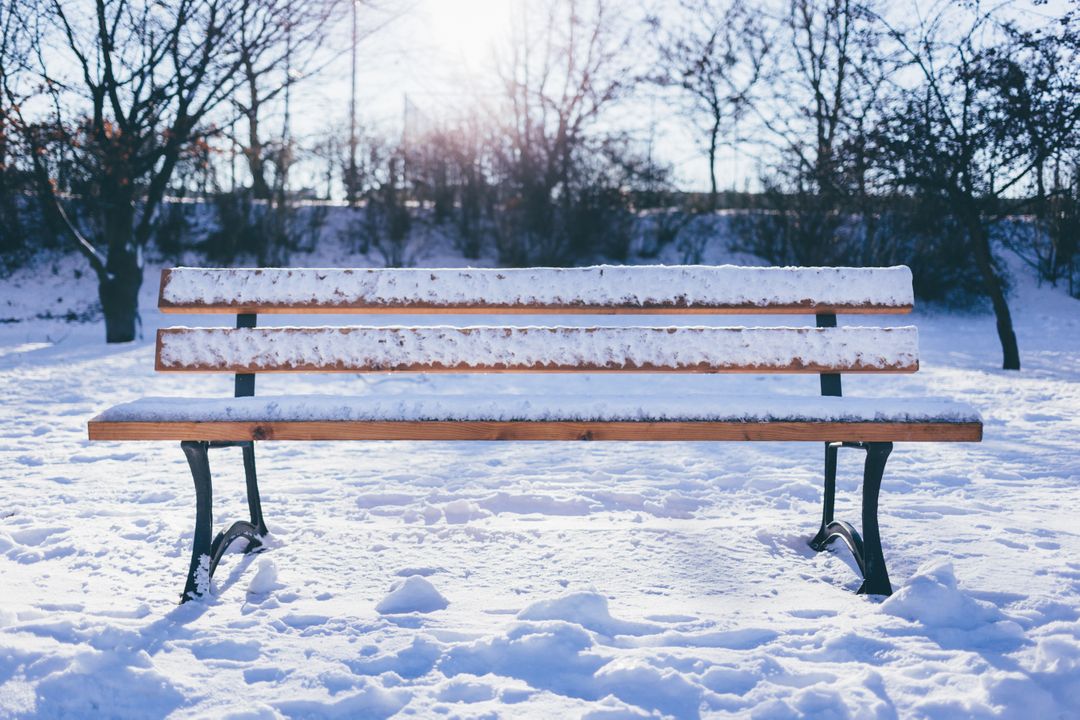 Snow Covered Park Bench in Winter - Free Images, Stock Photos and Pictures on Pikwizard.com