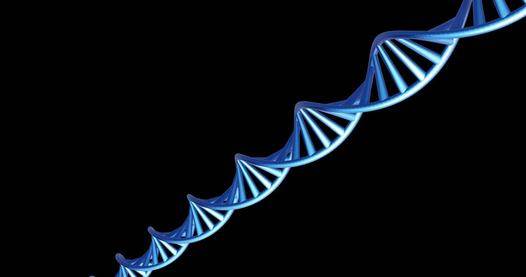 Twisting DNA Strand on Black Background with Copy Space