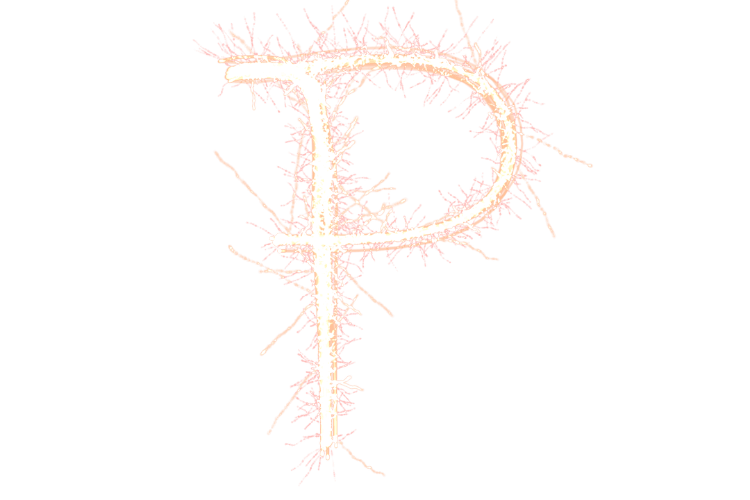 Elegant Digital P Letter with Delicate Elements on Transparent Background