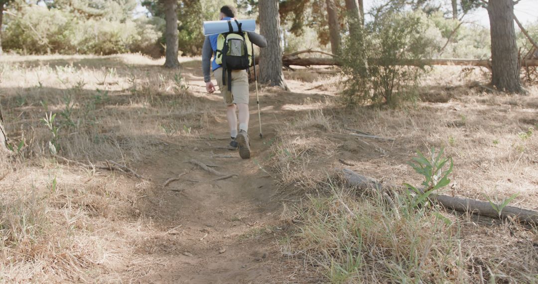 Man Hiking Through Sunny Forest with Backpack Discovering Nature