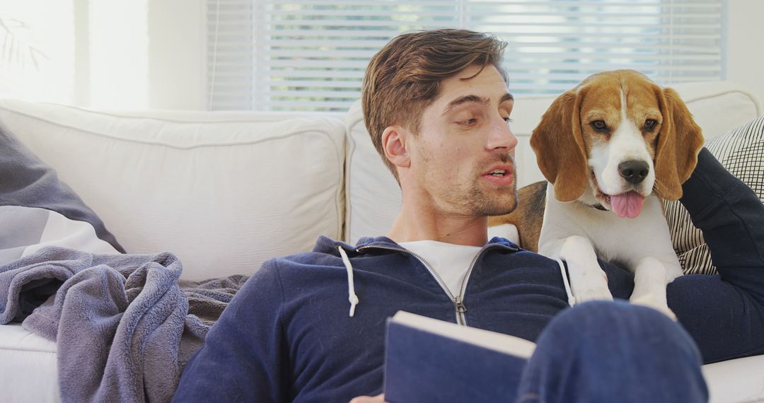 Man Relaxing on Couch with Cute Beagle Dog - Free Images, Stock Photos and Pictures on Pikwizard.com