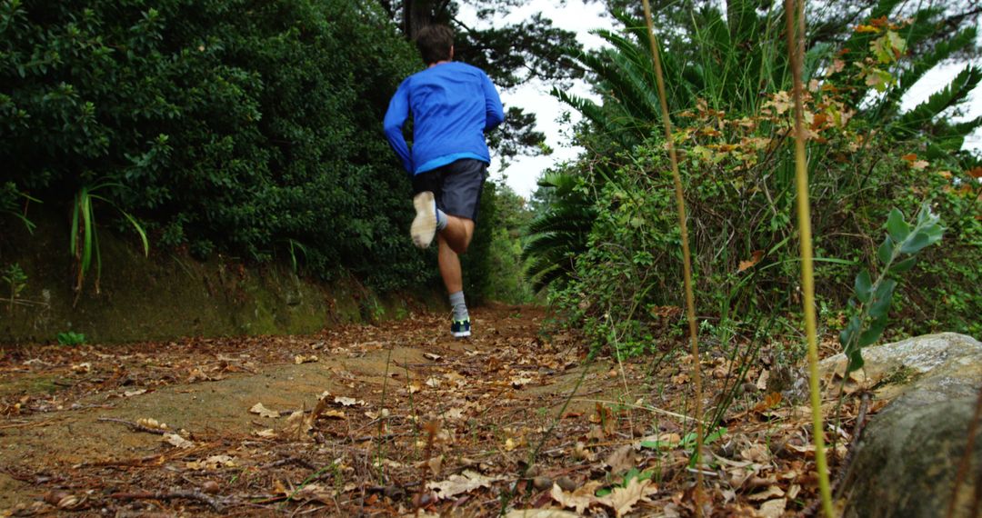 Man Running on Forest Trail Wearing Blue Jacket - Free Images, Stock Photos and Pictures on Pikwizard.com