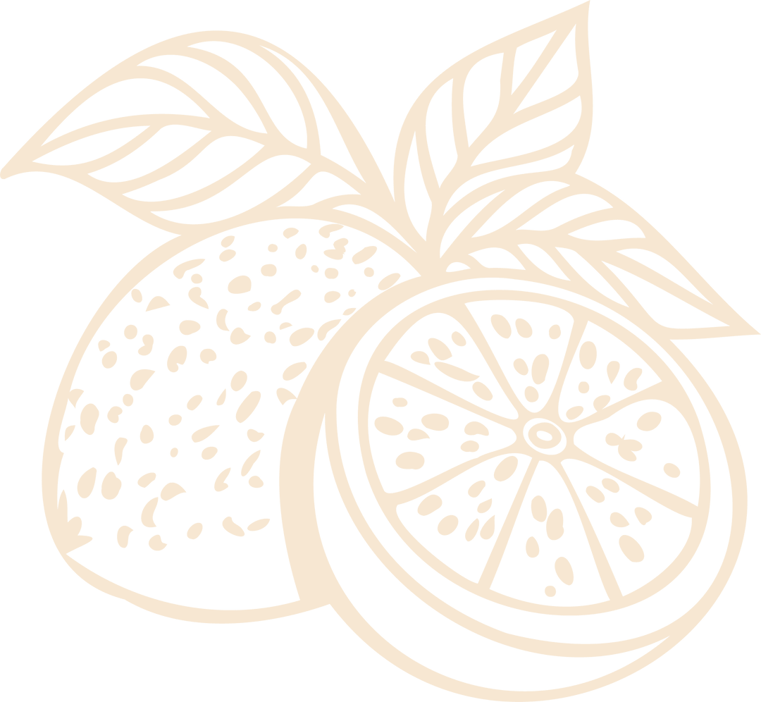 Minimalist line art of oranges on transparent background for fresh design
