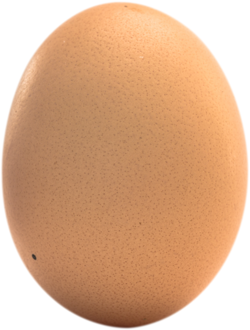 Transparent Single Brown Egg Close-Up Isolated - Download Free Stock Images Pikwizard.com