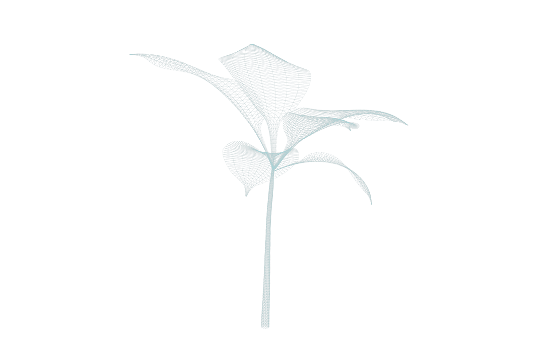 Minimalist Transparent Flower with Simplified Leaf Design