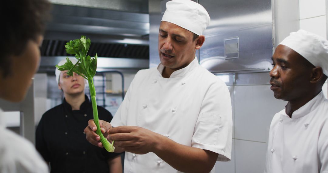 Head chef explaining recipe to kitchen staff with celery stalk - Free Images, Stock Photos and Pictures on Pikwizard.com