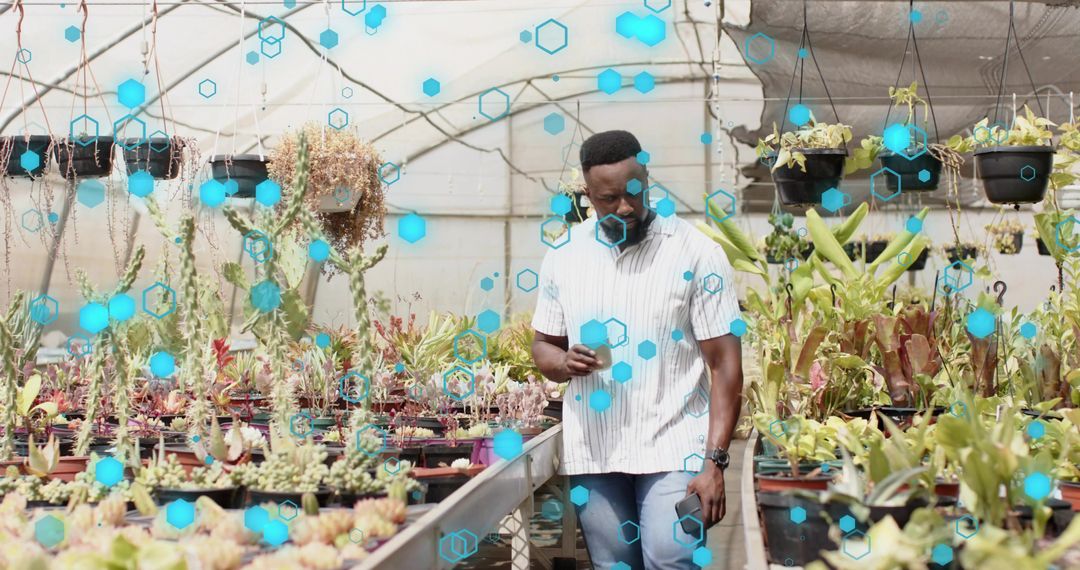 Mid-adult gardener checking smartphone while walking through greenhouse succulent nursery